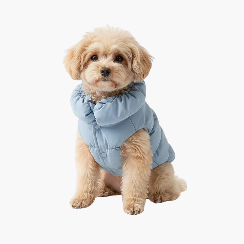 Dog winter coat padded vest for small dogs