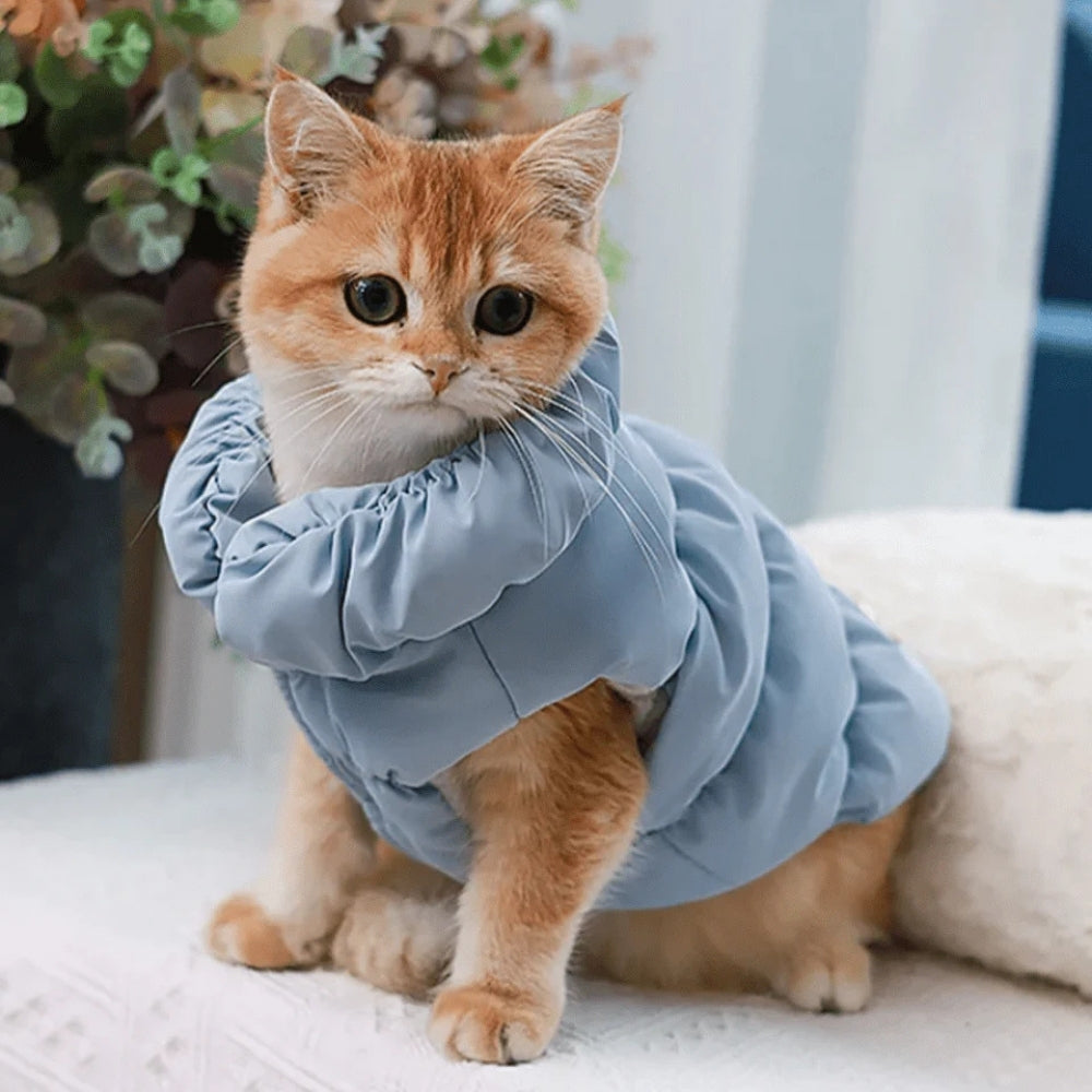 Dog winter coat padded vest for small dogs