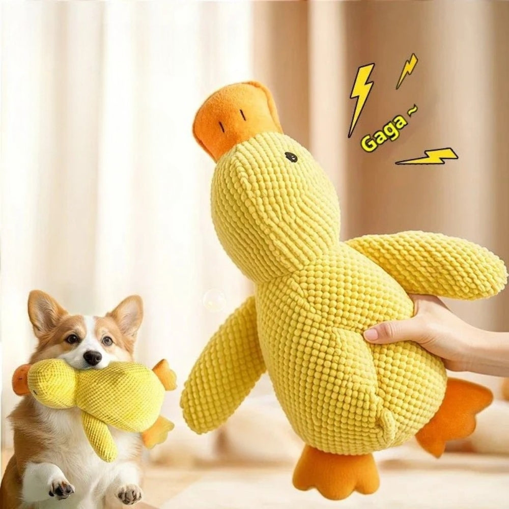 Dog indestructible squeaky teddy duck toy